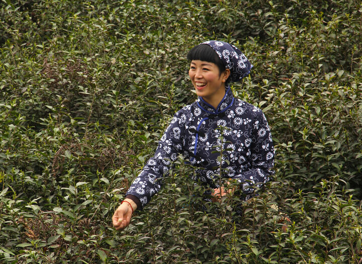 侦探独白